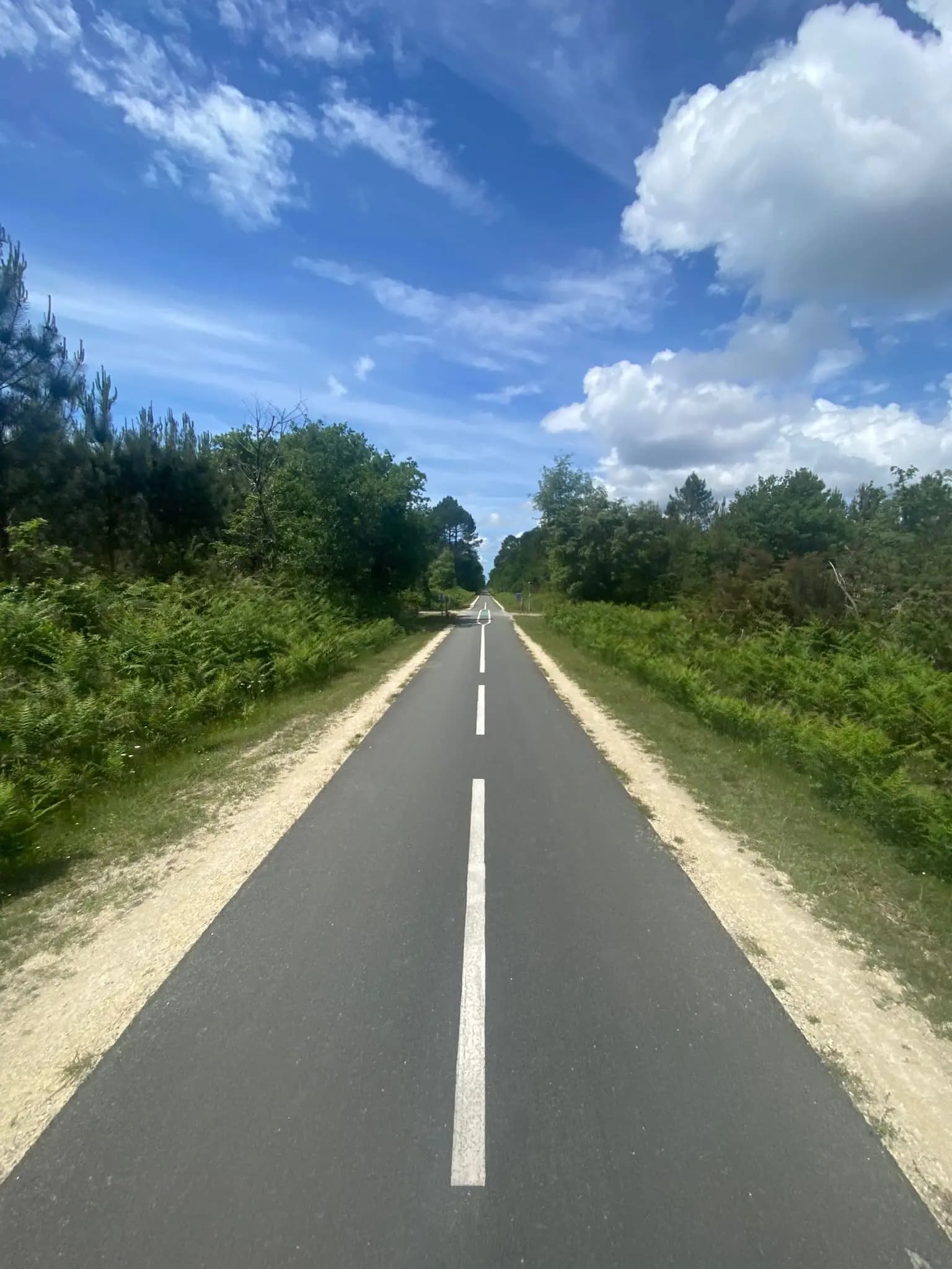 A countryside road curving through a forested area with trees on either side, under a bright sky with scattered clouds.